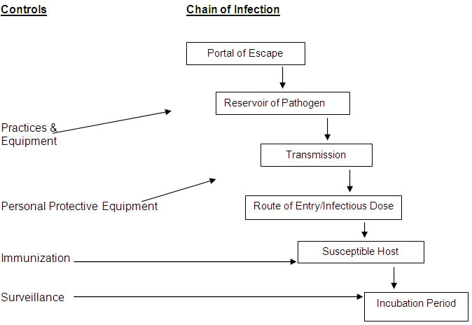 Chain of Infection